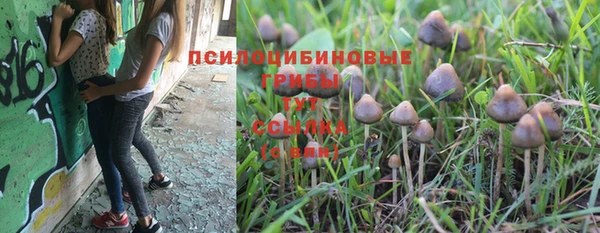 jwh Аркадак
